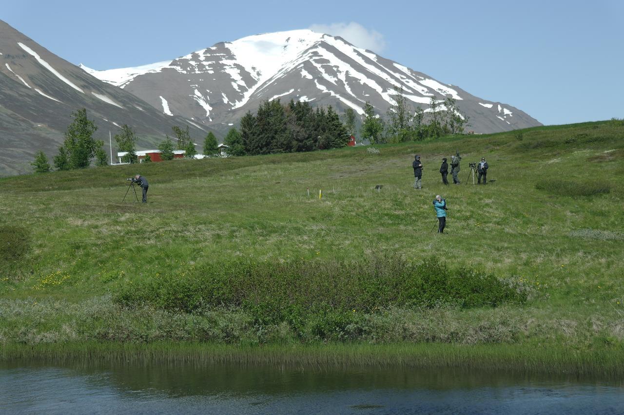 Hotel Dalvík Esterno foto